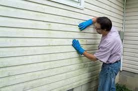 Best Vinyl Siding Installation  in Arroyo Seco, NM